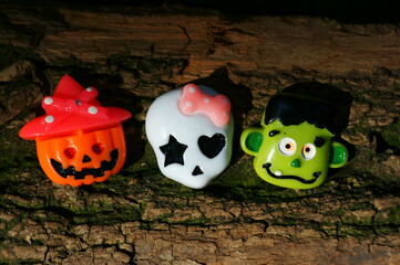 中医对胆的论述